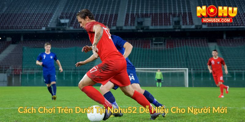 Cách Chơi Trên Dưới Tại Nohu52 Dễ Hiểu Cho Người Mới